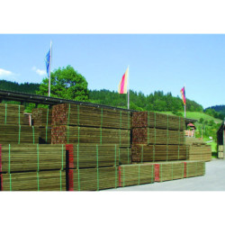 PIN SYLV 145X145 240M RAB TR4