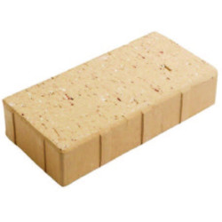 BRIQUE REFRA CHAMP 220X109X50