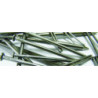 POINTE TPO 70X18-3MM4 5KG