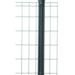 GRILLAGE PANTANET FAMILY VERT 152X25M