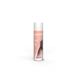 Nettoyant sec - 210ml