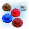 CAPUCHON ISOLINOX GRIS 100