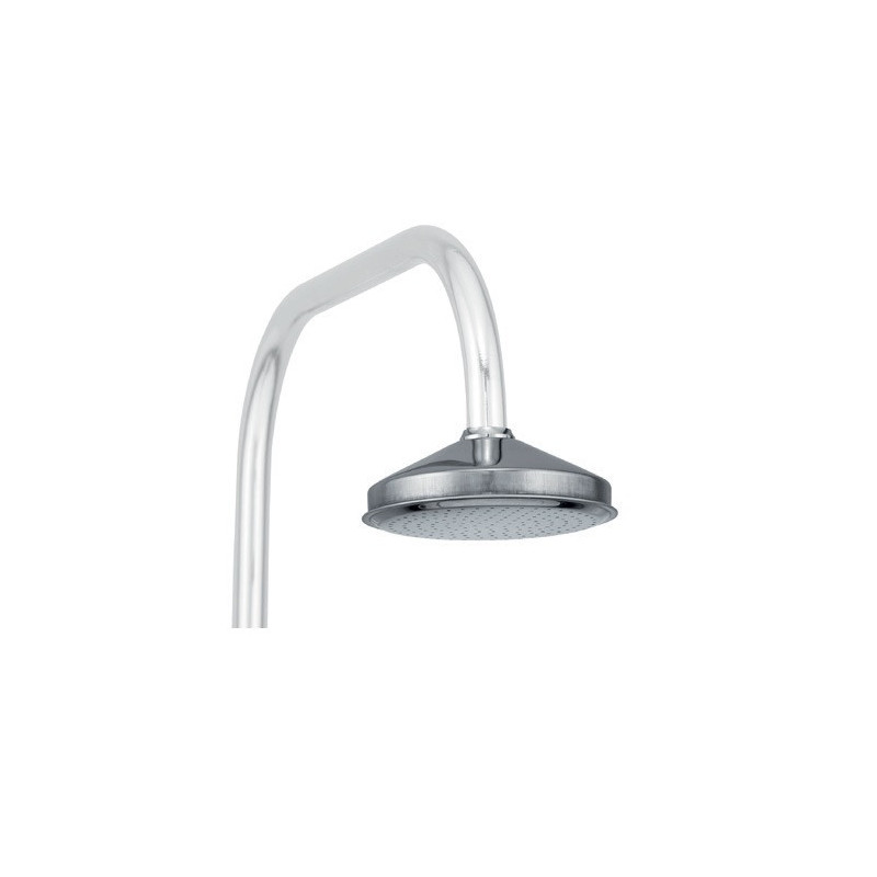 HY170 POMME DE DOUCHE D100
