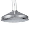 HY170 POMME DE DOUCHE D100
