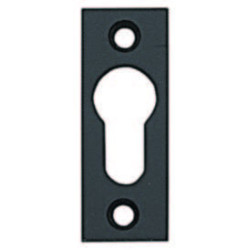 ENTREE CYL A VIS INOX 4200
